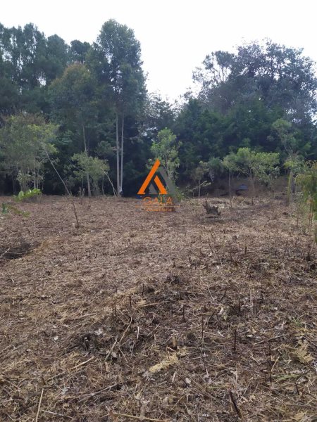 Terreno disponible para Venta en Rionegro Vereda Los Pinos Foto numero 1