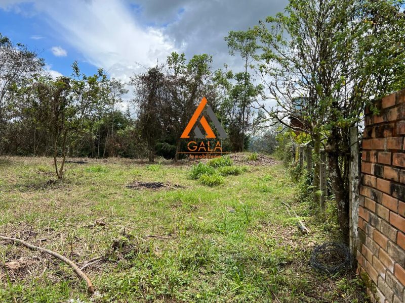 Terreno disponible para Venta en Rionegro Vereda Los Pinos Foto numero 1