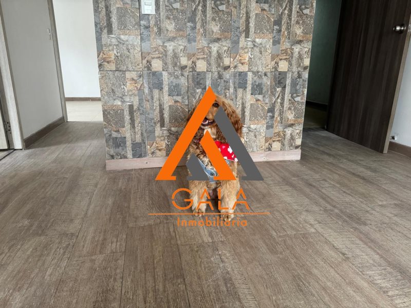 Apartamento disponible para Arriendo en Itagüí Ditaires Foto numero 1